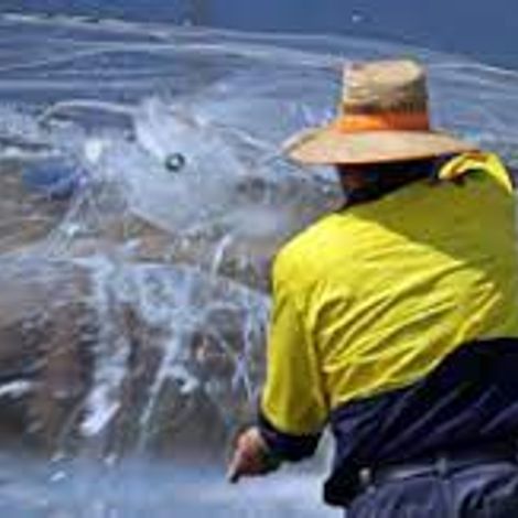 Seafarms Group Limited