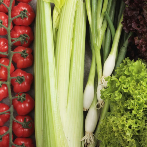 Bidfresh Limited - Products