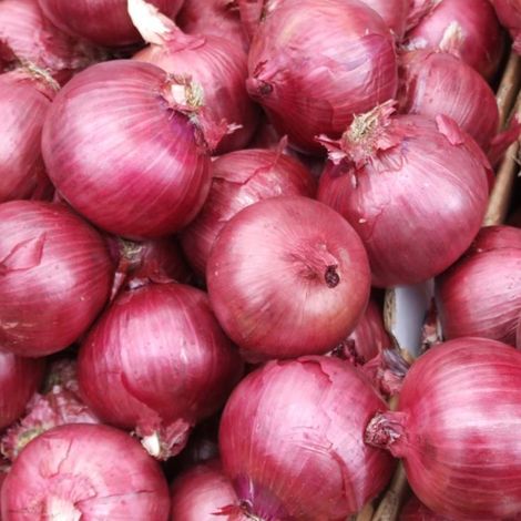 Onions