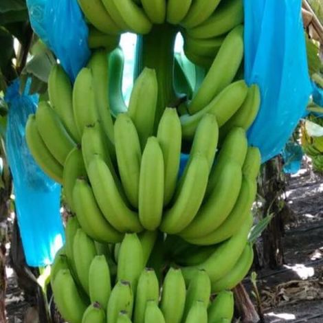 Zillion International - Products