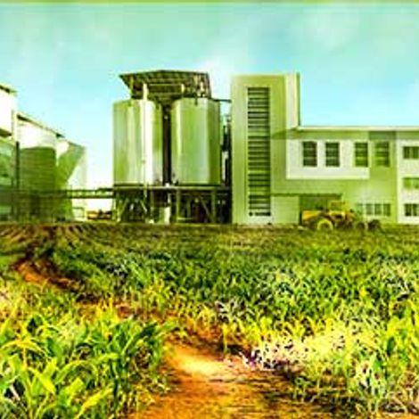 Lean Fructose Processing Company