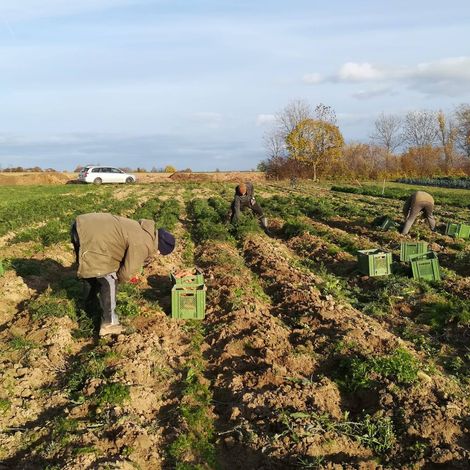 Farm