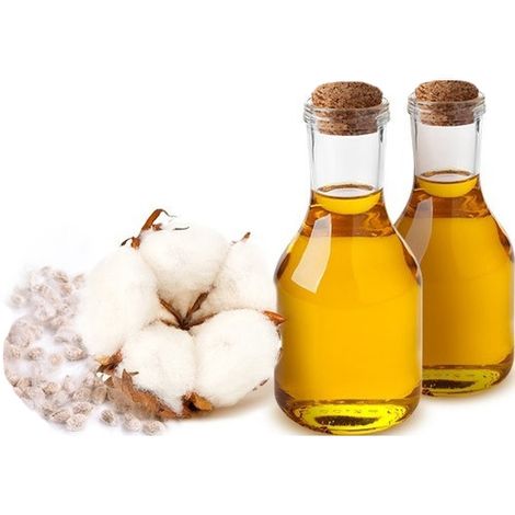 Anand Regional Cooperative Oil Seeds Growers Union Ltd (ARCOGUL)