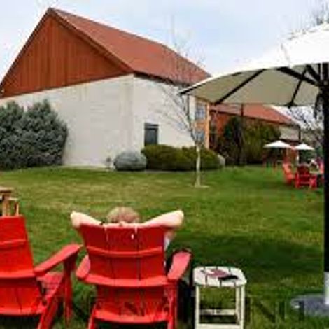 Canvasback vineyard 3.jpg