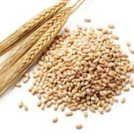 Kanna Agri Impex - Products