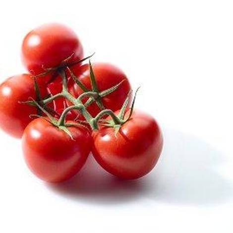 Fruithandel Wouters