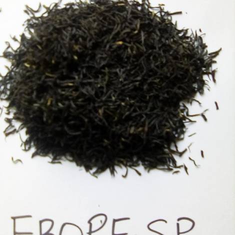 Black Orthodox Tea - FBOPF SP