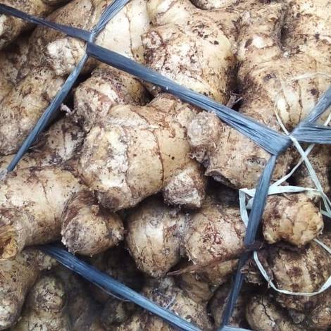 Fresh Ginger