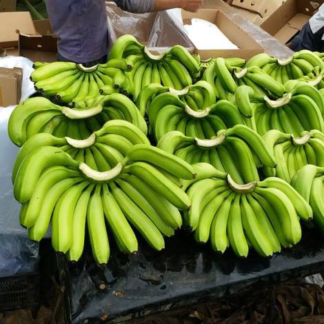 Banana Packing