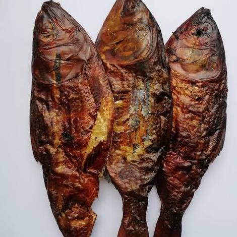 Bonga fish