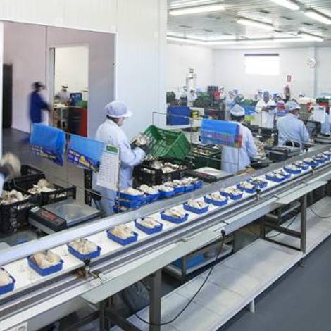 Production