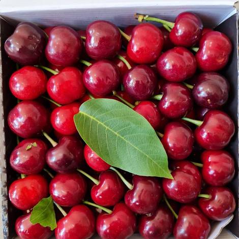 Cherry