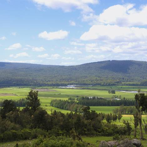 South side of Pure Vitality's Farm