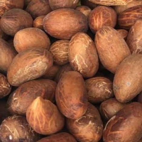 Kolanut
