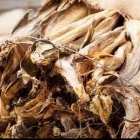 Stockfish (okporoko)