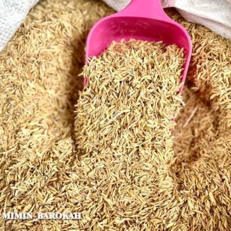 Rice hulls/Raw rice husk