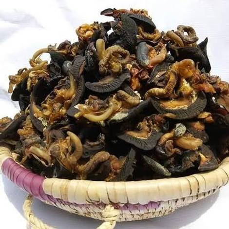 Dried Tasty Snails