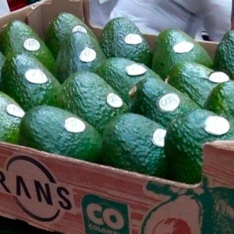 compania-coreana-rans-en-colombia.jpg