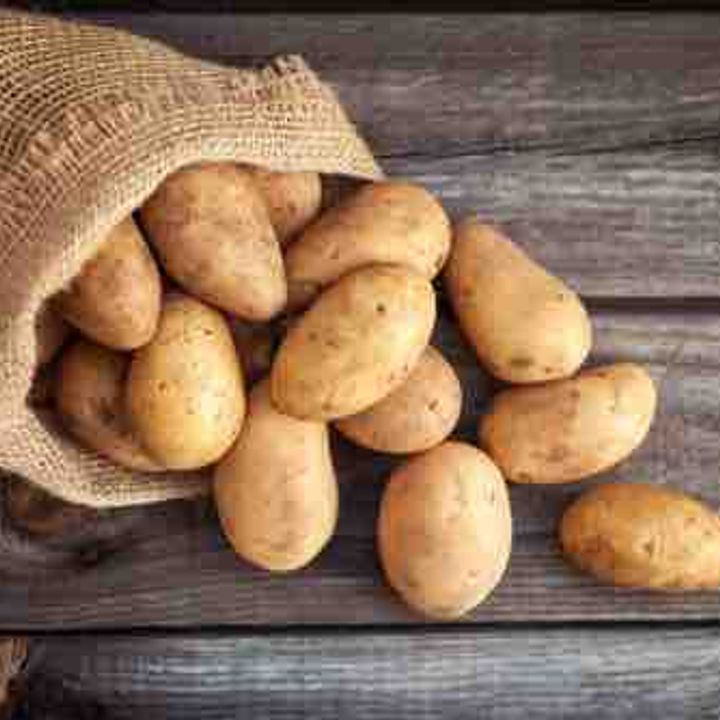 Fresh Common Potato Offers From Netherlands Trade Data Tridge