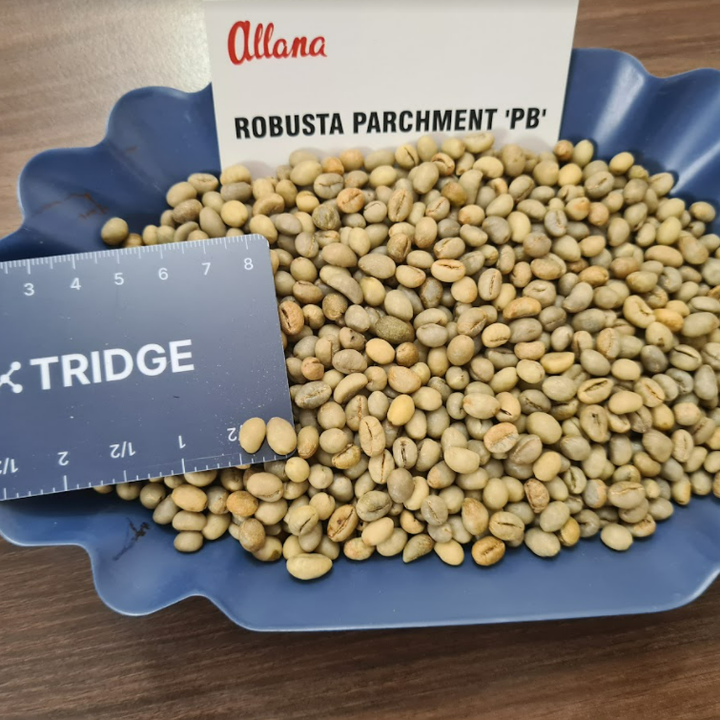 Raw Common Coffee Bean Offers From India Tridge