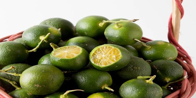 Philippines Fresh Lemon market overview 2024