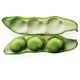 Dried Broad Bean