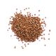 Buckwheat