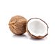 Other Fresh Coconut