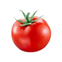 Fresh Tomato