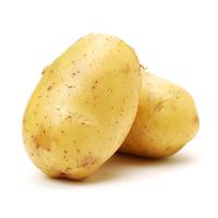 Fresh Common Potato