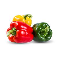 Other Sweet Pepper