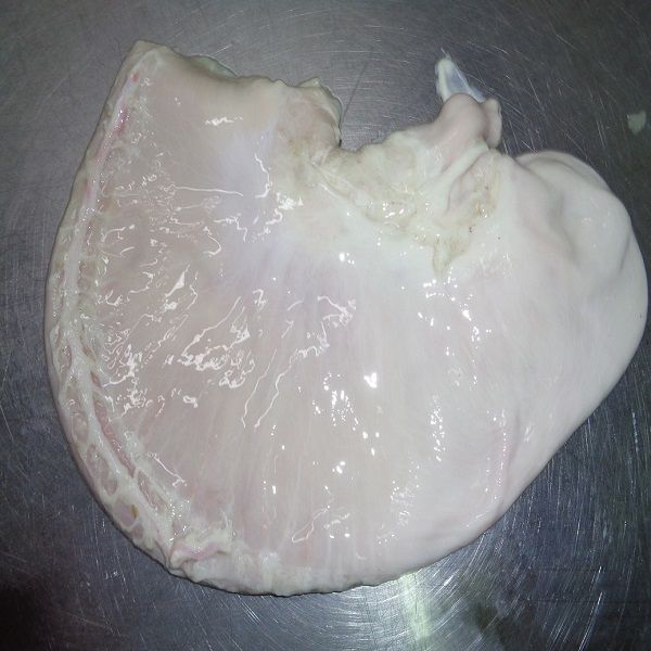 Frozen pork stomachs defatted from 우크라이나 supplied by Euro-Commerce LTD - Others 신선 돼지고기 햄 및 목살