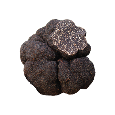 Fresh Truffle from 호주 supplied by The Wine and Truffle Co. - Perigord Truffle (=Tartufo Nero Pregiato=Tuber Melanosporum) 트러플