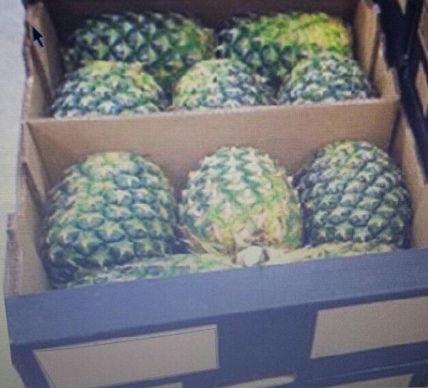Pineapple (Golden Pineapple, Piña Dorada, MD2 Gold) from Mexico supplied by Exotic Euro Import SA DE CV - Green Fresh Pineapple