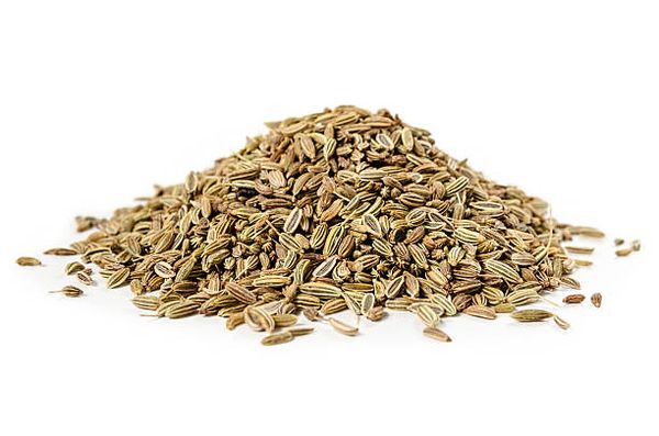 fennel from 인도 supplied by Dindayal and Sons - 펜넬