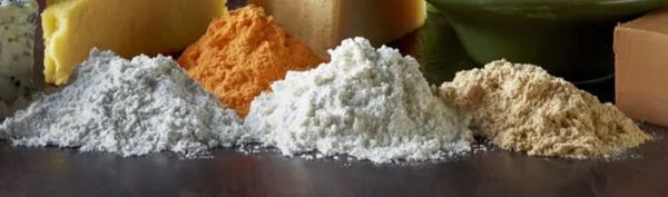 Other Cheese from 우루과이 supplied by Lactosan Uruguay S.A. - Powdered 기타 치즈