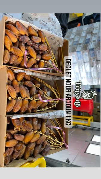 date deglet nour Arjoun from 알제리 supplied by Fruvedo - Yellowish-brown 신선 대추야자