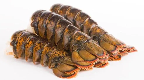 Frozen Raw Lobster Tail from United States supplied by Boston Lobster Company - Tails Only Frozen Common Lobster