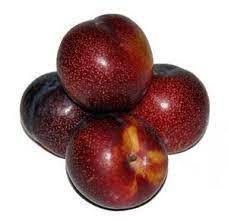 Larry Anne Plum from Chile supplied by LAFRUT LTDA. - Plum - Larry Anne Fresh Plum