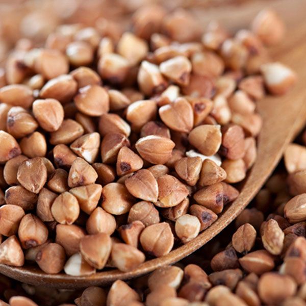 Buckwheat from Brazil supplied by PROTECTA COMERCIO DE PRODUTOS AGROPECUARIOS EIRELI - Hulled Buckwheat