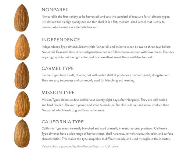 Almonds from United States supplied by Pearl Crop, Inc. - Brown Almond Kernel