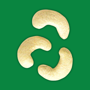 Large White Pieces Cashew from 인도 supplied by Bismi Cashew Company - Whole 캐슈너트 알맹이
