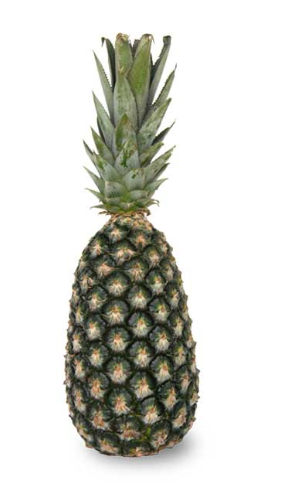Patrick's Pineapple from Ghana supplied by Wad co - Fresh (=Chilled) Fresh Pineapple