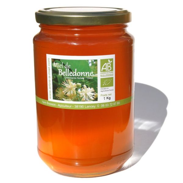 Forest Honey from France supplied by L'ARBRE A MIEL - Raw (=Natural Honey) Honey