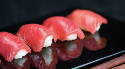 Tuna from Australia supplied by Stehr Group Pty Ltd (Headquarters) - Bluefin group - Southern Bluefin Tuna (=Thunnus maccoyii) Tuna