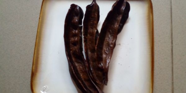 TETRAPLEURA TETRAPTERA (ARIDAN FRUIT) from Nigeria supplied by Oburoma Ventures - Conventional Allspice