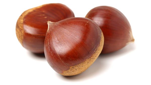 Chestnut from 프랑스 supplied by LA FERME DE LA BISETTE - Puree 밤 알맹이