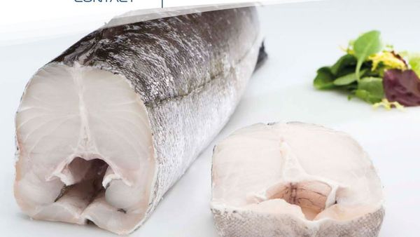 Hake from 아르헨티나 supplied by Estrella Patagonica S.A. - With Skin (=Skin On) 냉동 헤이크