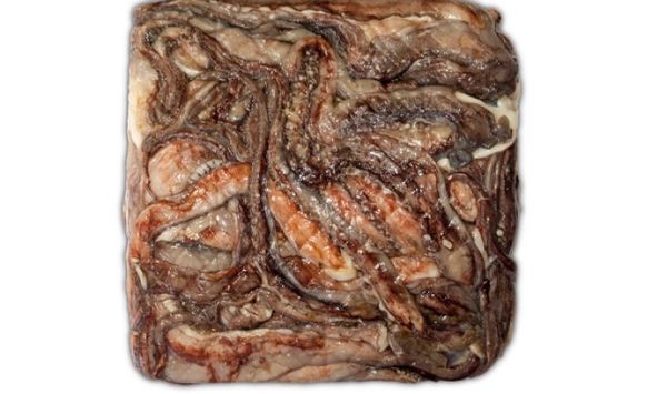 GIANT SQUID (DOSIDICUS GIGAS) from Chile supplied by Sociedad Pesquera Comercial Chaicas Ltda - Skin On Frozen Squid