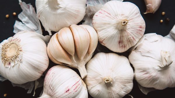 Garlic from 영국 supplied by Bedfordshire Growers Ltd - White 신선 마늘